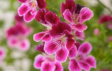 websites/thumbs/2011-06_dgg-thumb-web-02_1489066779.jpg