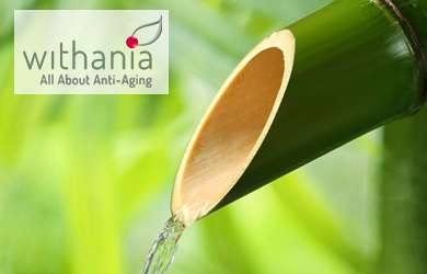 websites/thumbs/2014-09_thumb_withania.jpg
